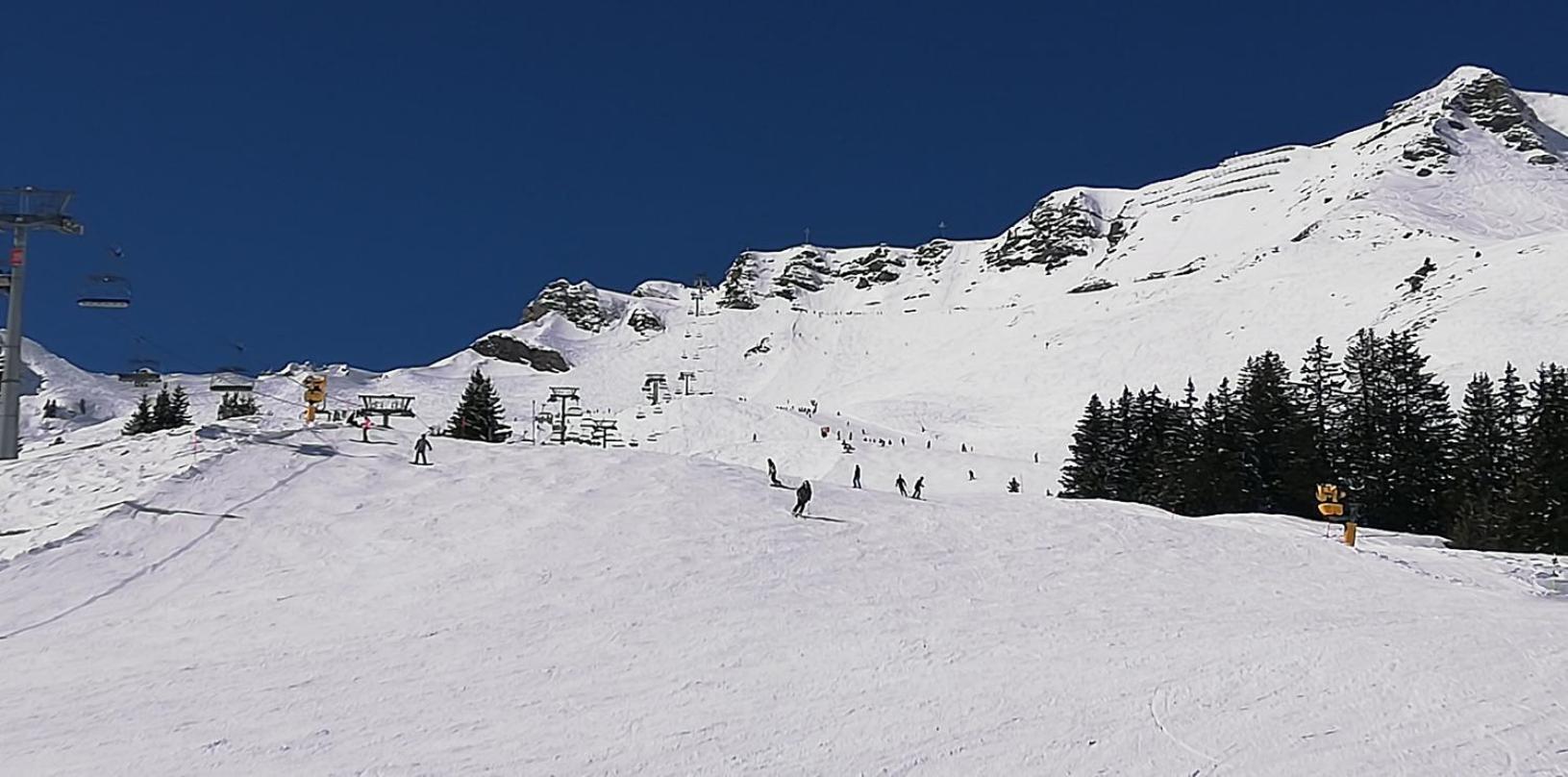 Bonavau Studio3 Champéry Dış mekan fotoğraf